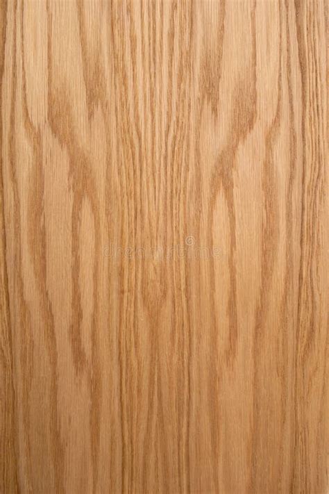 Oak Plank The Structure Of Natural Oak A Tangential Cut Of A Tree