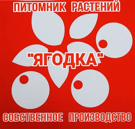 Питомник растений Ягодка в Приморском крае – цены, каталог