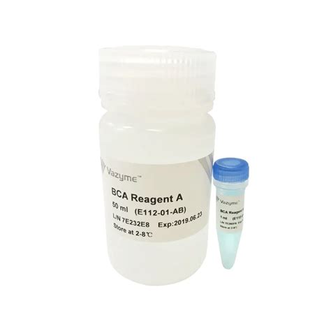 Bca Protein Quantification Kit Zesbio