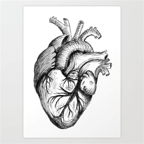 Hand Drawn Human Heart Art Print By Jitka Egressy Society6