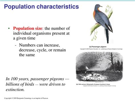 PPT - Population Biology Concepts PowerPoint Presentation, free ...