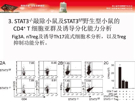 Ppt Stat3 基因在 Cd4 ＋ T 细胞介导抗肿瘤免疫中的重要作用 Powerpoint Presentation Id 4213563