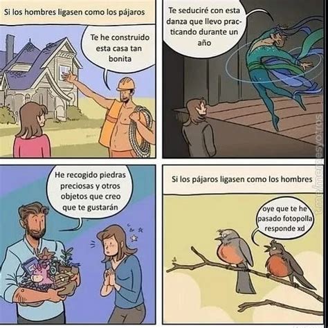 Da igual si los vatos lo hiciesen como lo hacen las aves quedarían