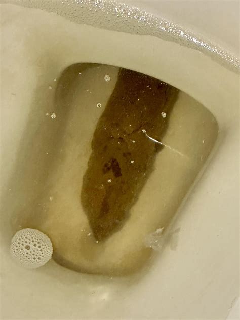 Soup Rpoop