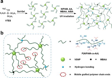 Thermo Responsive VSNPs P NIPAM Co AA Hydrogels A Synthesis And