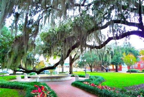 Savannah Georgia Landscaped Squares