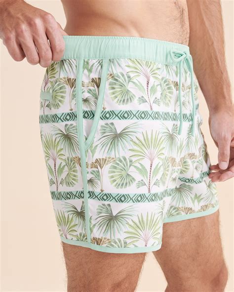 EVERYDAY SUNDAY Topic Illusion Volley Swimsuit Cypress Tree Bikini Village