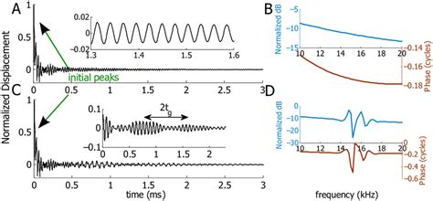 Response Of The Stapes Under An Impulse Acoustic Stimulation For A