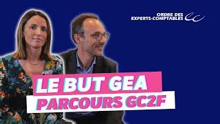 le  gea  le parcours gcf gestion comptable doovi