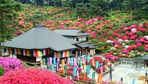 塩船観音寺（東京都青梅市）｜tokyoおでかけガイド