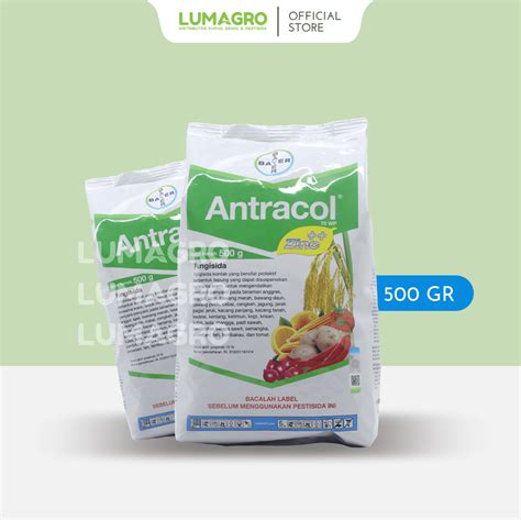 Fungisida Antracol Wp Gr Propineb Lumagro