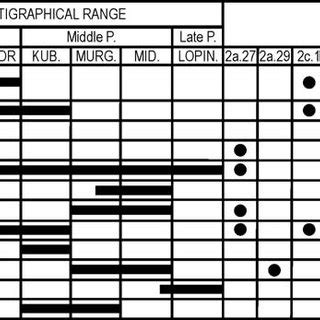 Summary Table Of The Fusulinids Of The Lercara Formation Showing The