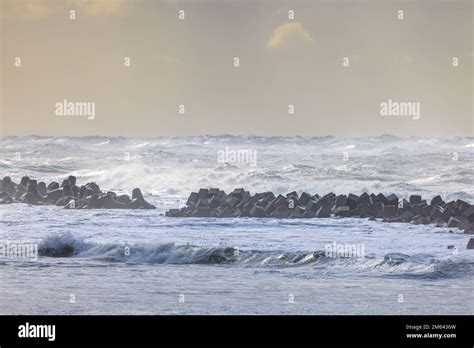 Concrete Tetrapod Breakwater In Shallow Ocean Water Off Beach Stock