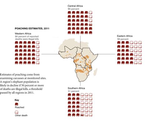 Elephant Poaching Graph