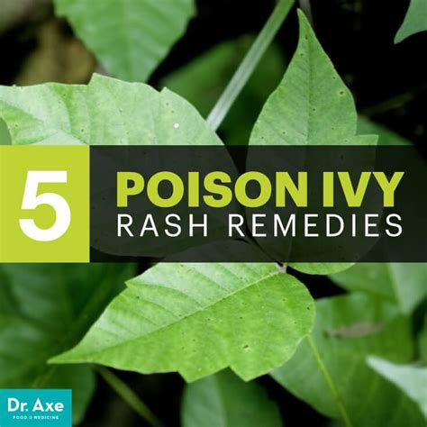 How To Get Rid Of Poison Ivy Rash Naturally Poison Ivy Rash Natural