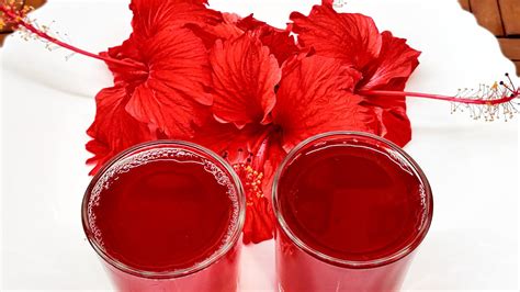 Hibiscus Tea Sembaruthi Tea For Weight Loss