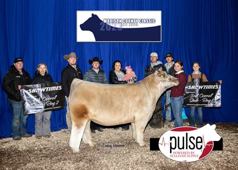 Madison Co Classic Beef Show Top 5 Market Steers Ring B The Pulse