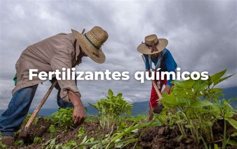 Buen Uso Y Manejo Responsable De Los Fertilizantes Qu Micos