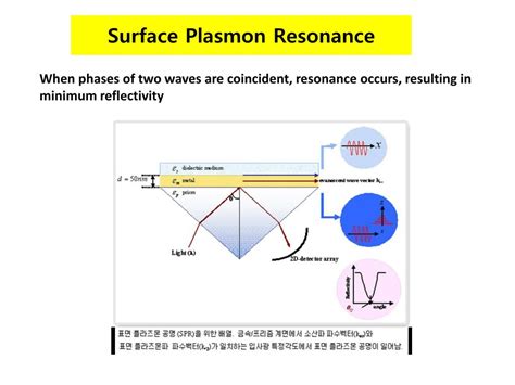 PPT - Surface Plasmon Resonance (SPR) PowerPoint Presentation, free ...