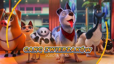 Gang zwierzaków zwiastun filmu YouTube