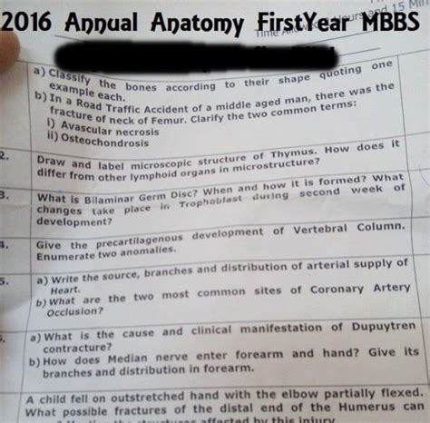 First Year Mbbs Anatomy Annual Paper Uhs