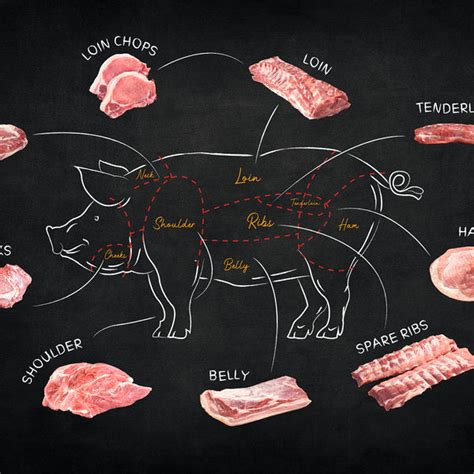 Pork Cuts Explained Ultimate Guide To Different Cuts Of 41 Off