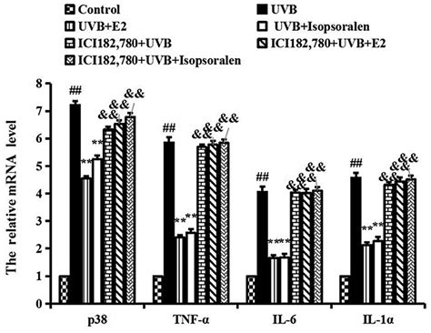 Effects Of Isopsoralen On Tnf‐α Il‐6 And Il‐1α Gene Expression