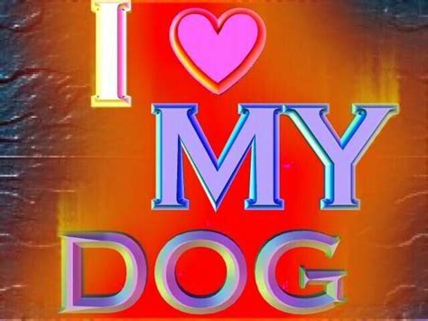 Love Your Dog Animal Pictures Pets Dogs