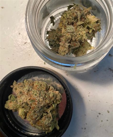 Gg4 Aka “the Glue” Aka “gorilla Glue 4” Aka “original Flue 4”😍😶‍🌫️🤤 This Specific Strain Is An