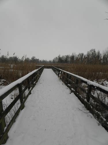 Oostvaardersplassen | Patrick Stam | Flickr