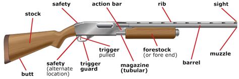 Defining a Shotgun