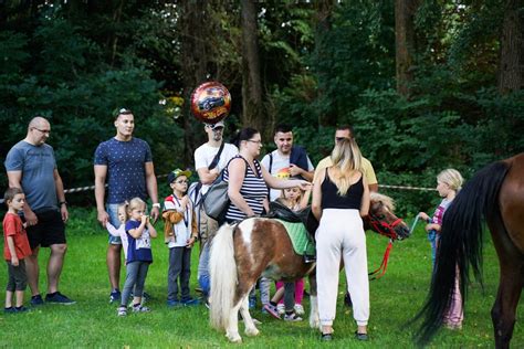 Zielony Piknik na osiedlu Miłocin w Rzeszowie na zakończenie wakacji