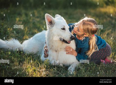 Jolie Fille Blonde Et Son Chien Banque De Photographies Et Dimages