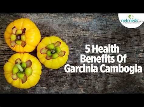 Garcinia Cambogia Extract Powder At Best Price In India