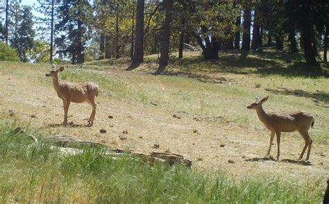 Newport Couple Donate $50 Million to Nature Conservancy for Wildlife ...