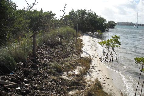 Blowing Rocks Preserve (Martin County) | Florida Living Shorelines