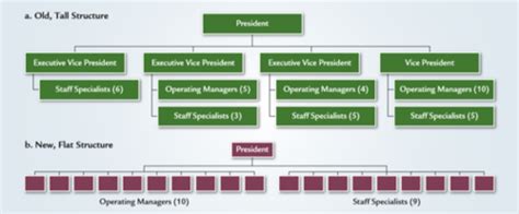 MGT Exam 2 Ch 7 Flashcards Quizlet