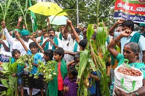 Photos हाथों में प्याज मक्कई मूंगफली और सब्जियों के पौधे लेकर