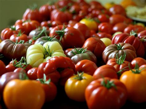 Smaller But Better Organic Tomatoes May Pack More Nutritional Punch The Salt Npr