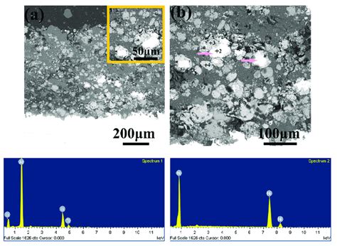 Cross Sectional Morphologies And Compositions Of Ni Al Tib Coatings