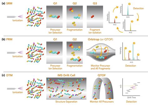 A Schematic Representation Of Targeted Measurement Approaches A Srm