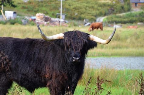 Exploring The Inverness Region Of Scotland My Favorite Photos