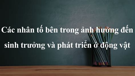 Hô Hấp ở động Vật Là Gì Các Hình Thức Hô Hấp ở động Vật