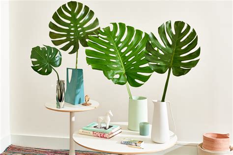 The Best Faux Monstera Leaf Decor Apartment Therapy