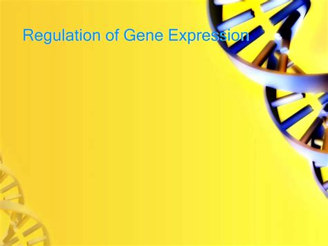 Regulation Of Gene Expression And Geneticsppt