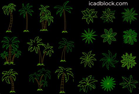 Palmera En DWG Planta Y Alzado ICADBLOCK