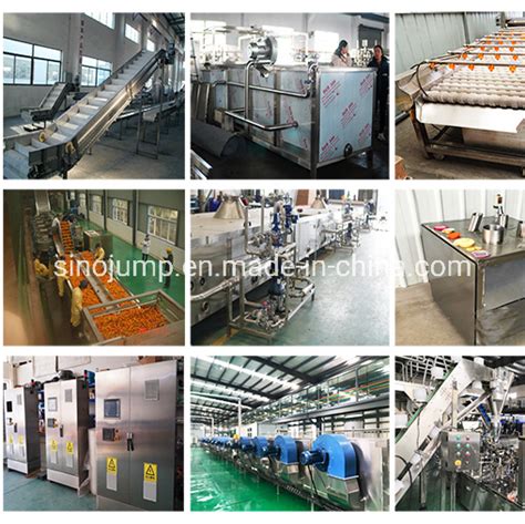 Modern Factory Aloe Vera Juice Processing Line Aloe Vera Juice