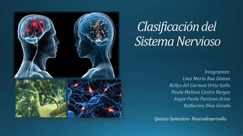 Pdf Clasificacion Del Sistema Nervioso Dokumen Tips