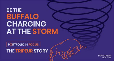 ‘be The Buffalo Charging At The Storm Portfolio In Focus The Tripeur