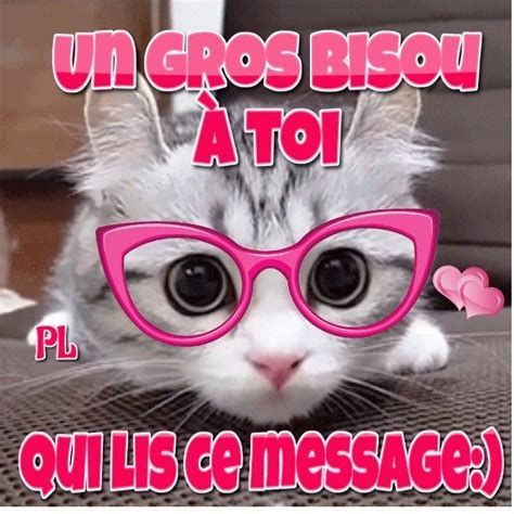 A Cat Wearing Pink Glasses With The Words Un Gros Bisou A Toi